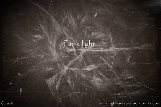 Panic Light